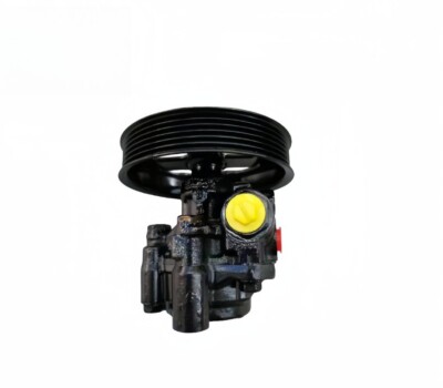 Auto New 44310-0C010 Power Steering Pump for Toyota TUNDRA Pickup (_K3_,_K4_)