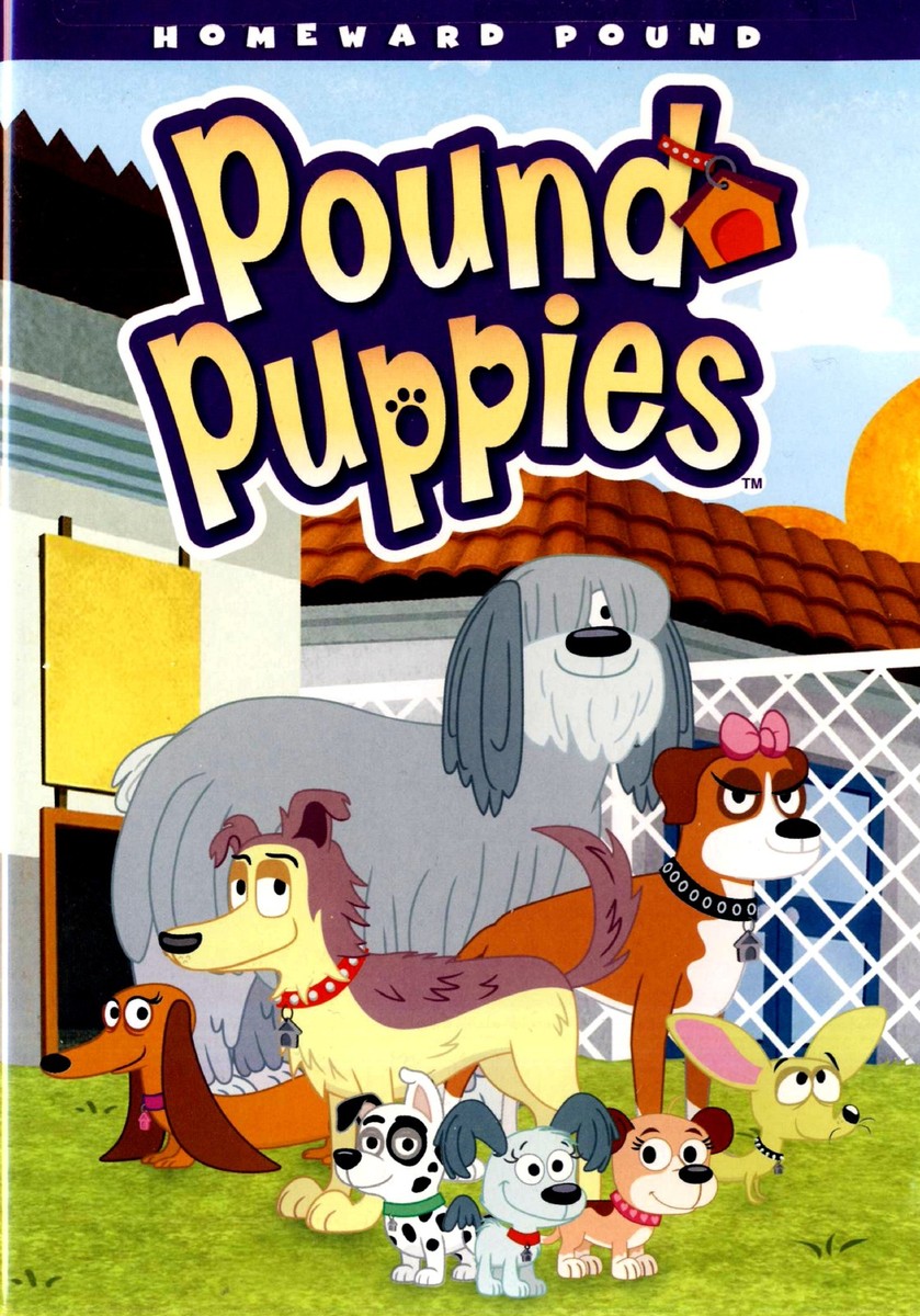 Pound Puppies Homeward Pound New Children's DVD 826663130621|