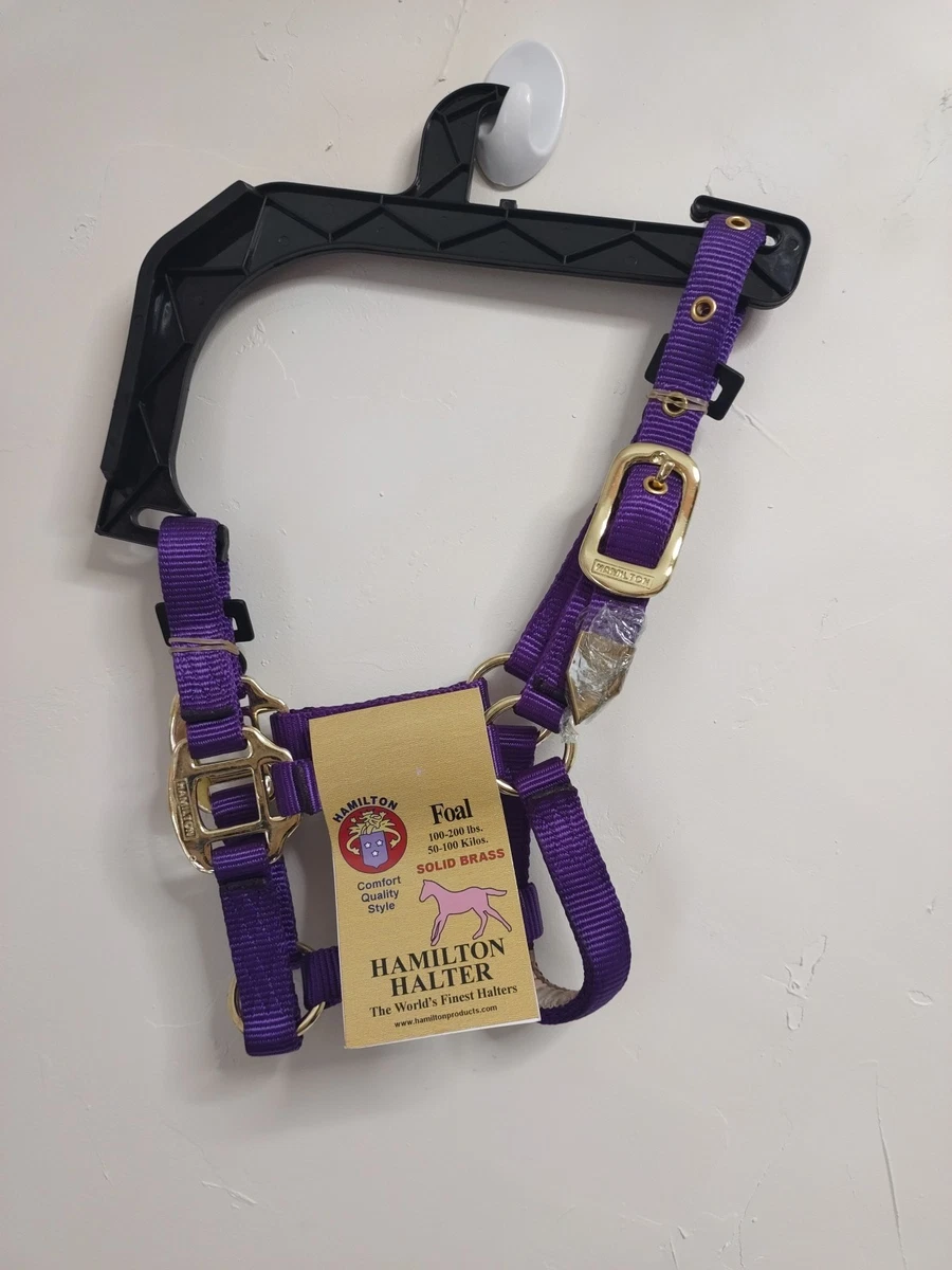 Lichette Nylon Hamilton Pour Poulain - 100-200 Lbs (45-90 Kg) - Violette