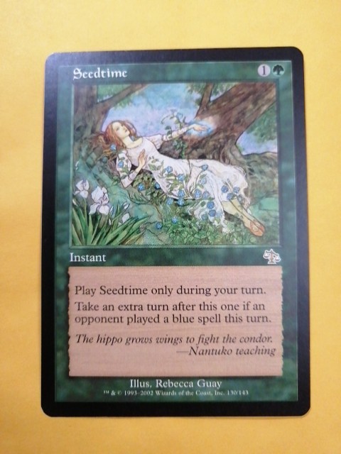 Seedtime Judgment LP MTG