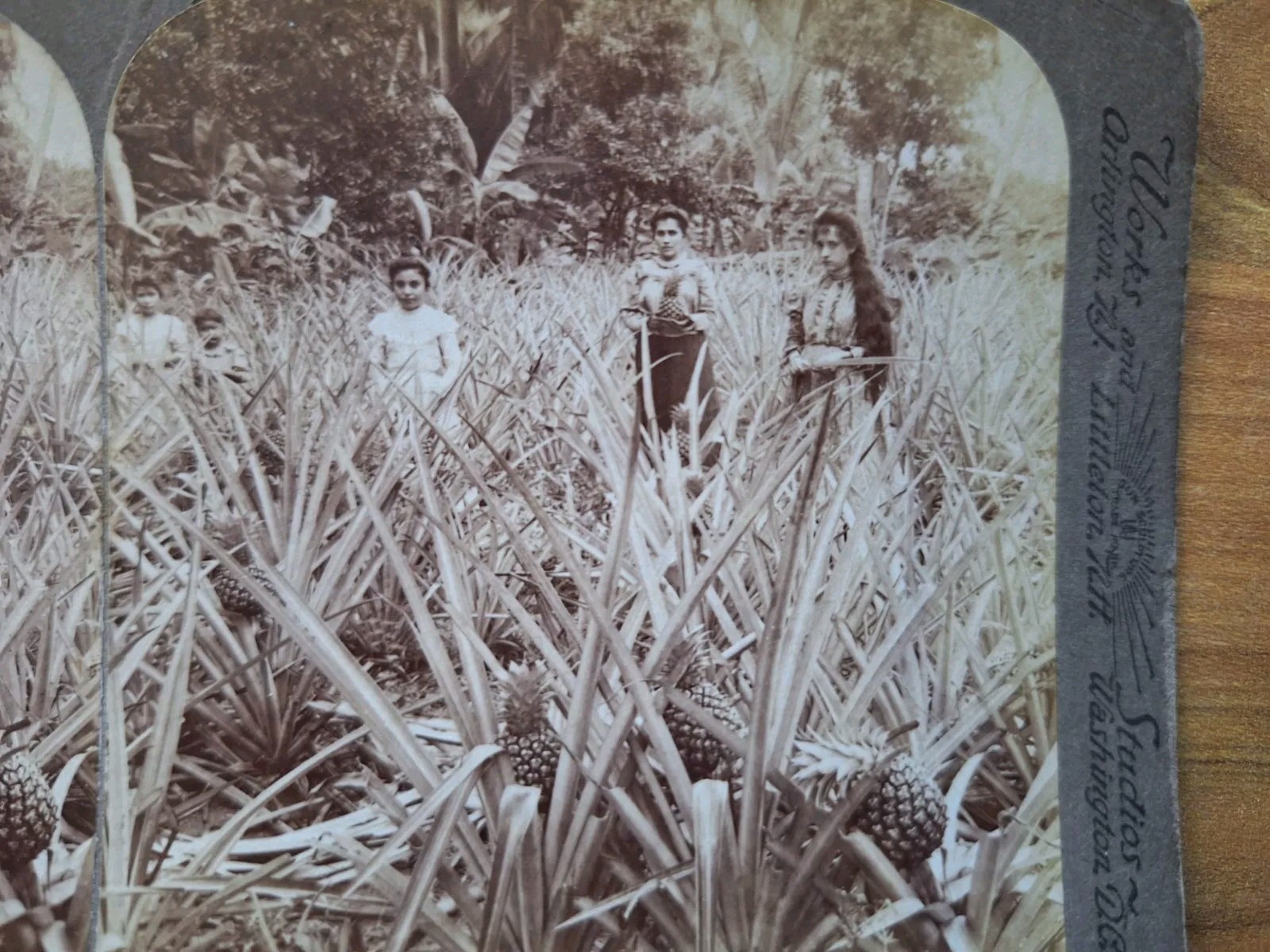 Picture 3