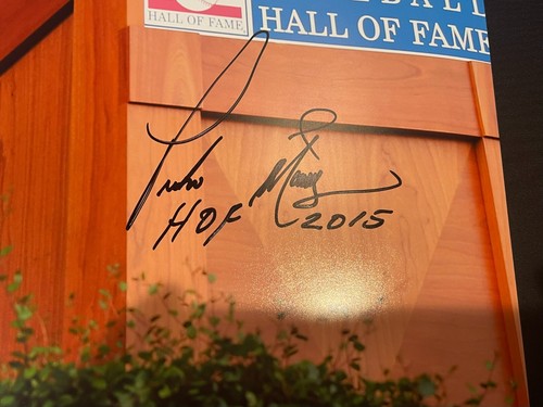 Pedro Martinez Signed Auto Boston Red Sox 16x20 Photo "HOF 2015" JSA WIT COA - Picture 2 of 3