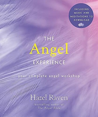 The Angel Experience: Your Complete Angel Workshop Bo by Raven, Hazel 075373432X