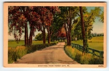Greetings From Forest City Pennsylvania Linen Postcard Vintage 1948 Walkway