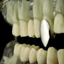 Vampire Fang Single Cap Grill Silver Tone One Canine Tooth Fangs Dracula Grillz Vampire Fang Single Cap Grill Silver Tone One Canine Tooth Fangs Dracula Grillz