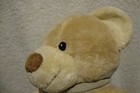 Bild 9 von 9