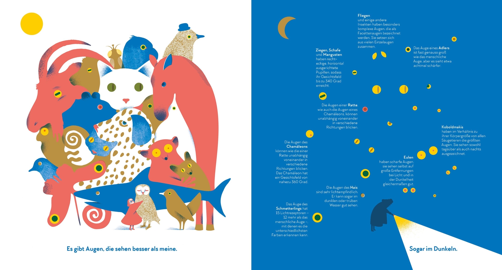 Thumbnail - Romana Romanyschyn Sehen