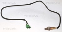 Triscan Lambdasonde Sensor Abgassteuerung 8845 28006 FüR Peugeot SW CitroËN C4 2