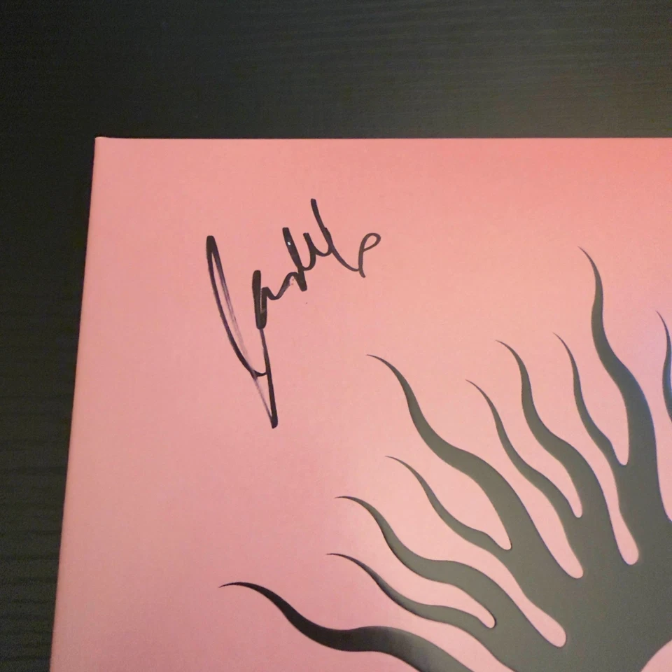 AFI Silver Bleeds the Black Sun COVER Jacket SIGNED Vinyl Autographed - Image 4 of 4