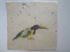 Vintage Watercolor Painting Toucan John Matassa Signed OOAK 8 x 8