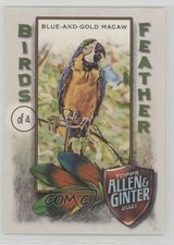 2021 Topps Allen & Ginter's Birds of a Feather Blue-and-Gold Macaw #BOF-4 0u8t