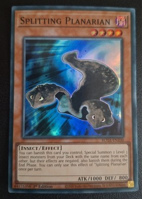 Yu Gi Oh Karte ''Splitting Planarian'' ROTA-EN100 1st. Edition ENGLISCH