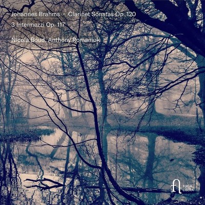 Johannes Brahms Johannes Brahms: Clarinet Sonatas Op. 120/3 Int (CD) (UK IMPORT)