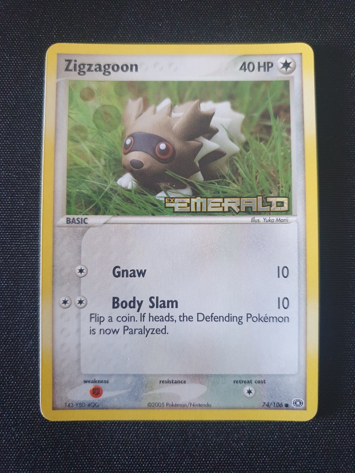 Zigzagoon 74/106 Reverse Holo Stamped EX Emerald NM Condition