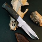 8.9" D2 Steel Hunting Knife Full Tang Micarta Handle Fixed Blade + Sheath — photo 6