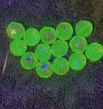 10 Pc VASELINE CARNIVAL AB URANIUM GLASS BEADS 12mm Round Faceted Fire-Polished
