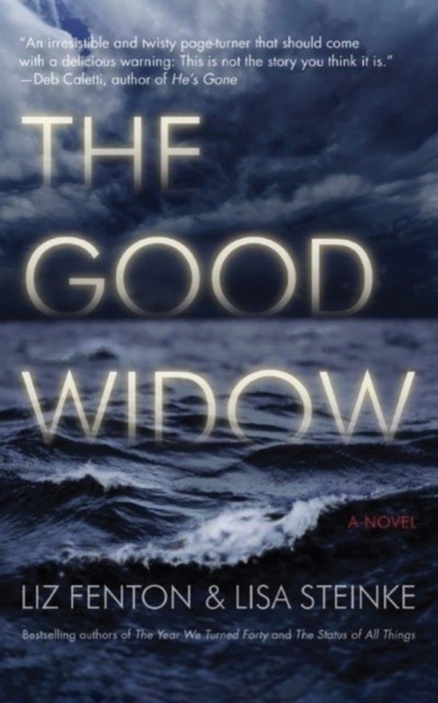 The Good Widow A Novel by Lisa Steinke (Paperback Book)