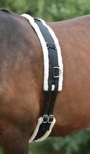 Horse Masters Lunging Roller Fleece Padded Girth