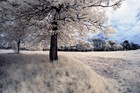Bild 4 von 12