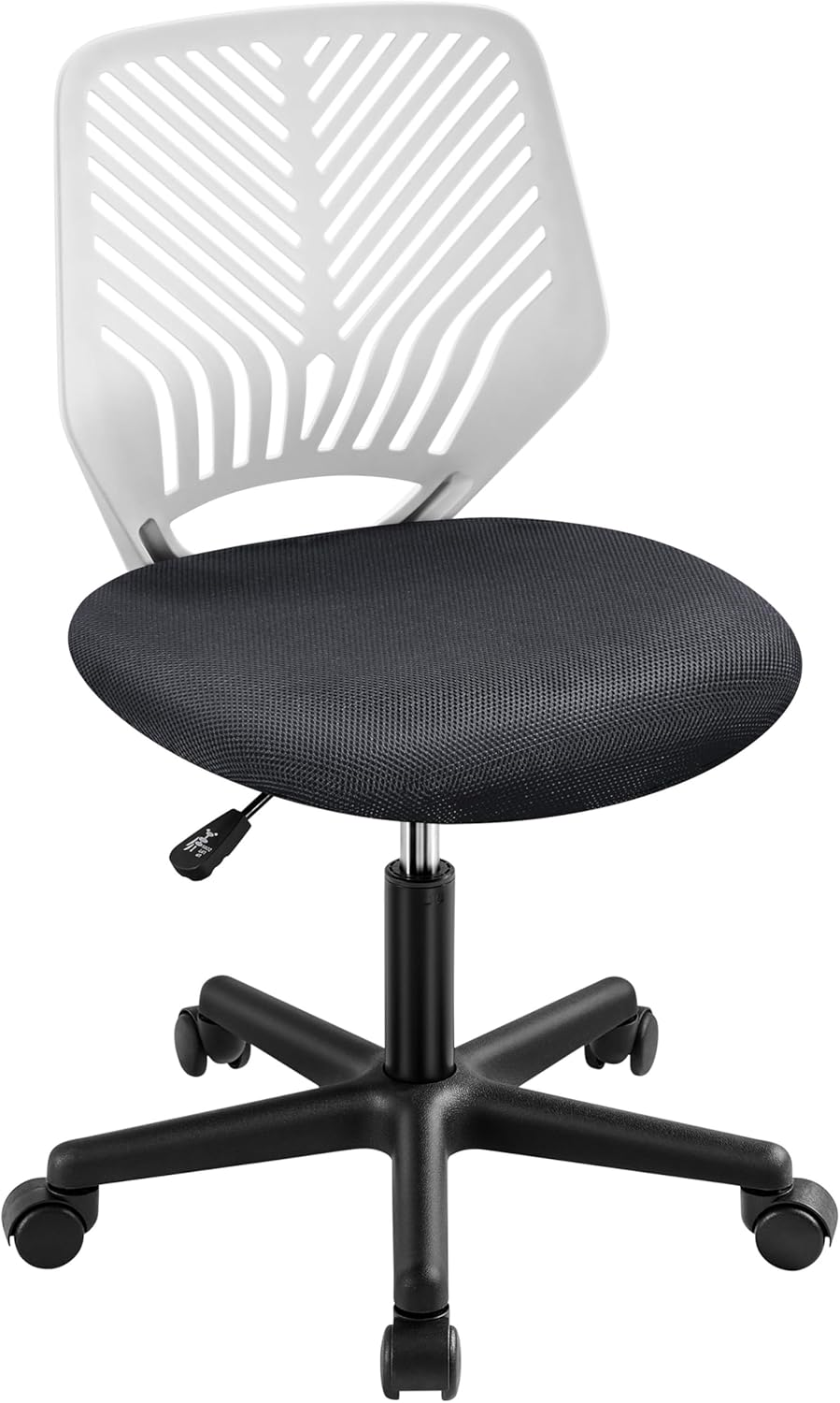 Cute Low-Back Armless Study Chair with Lumbar Support for Students - Adjustable Height