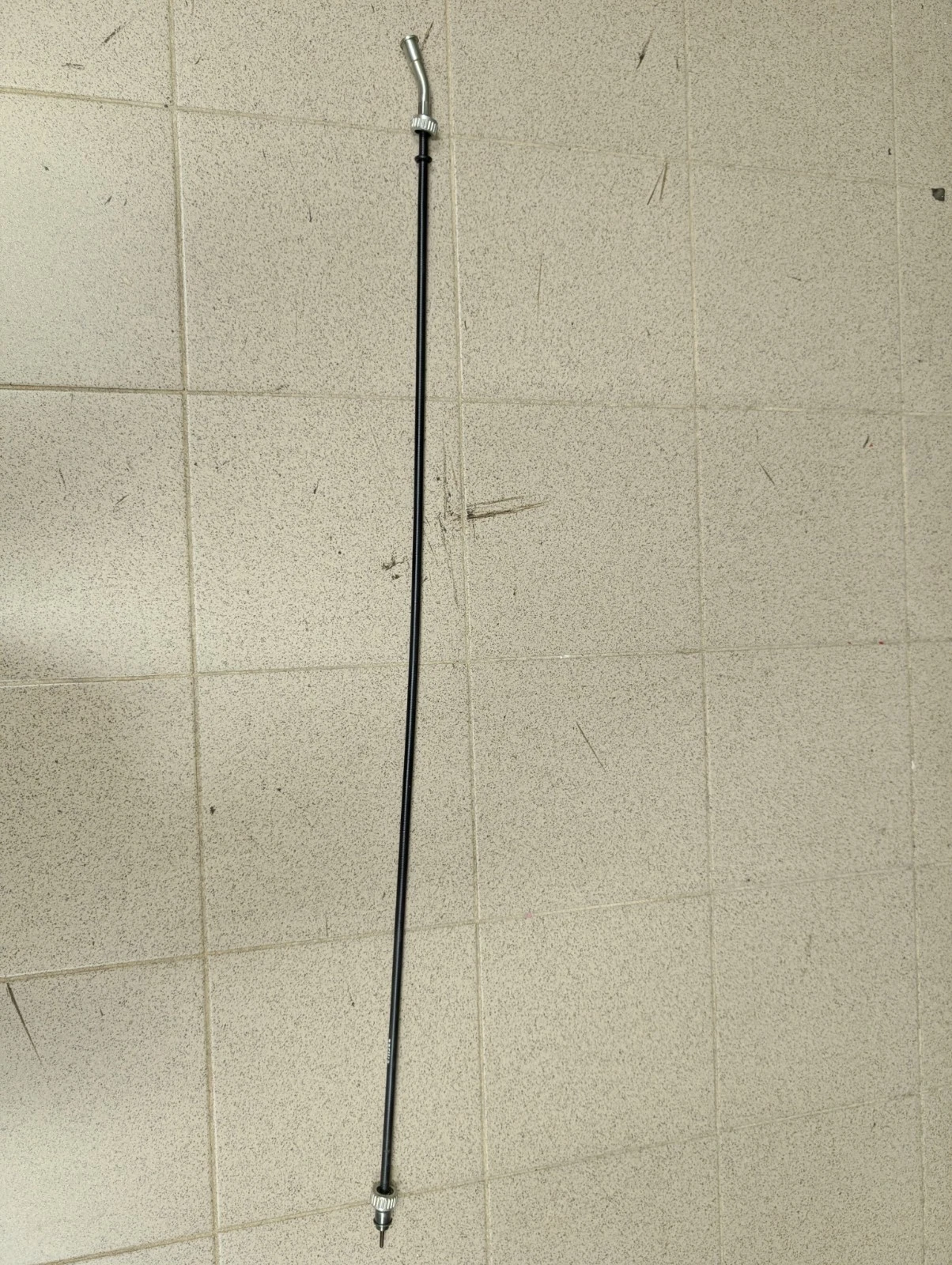 DESCRIZIONE DELL'IMMAGINE