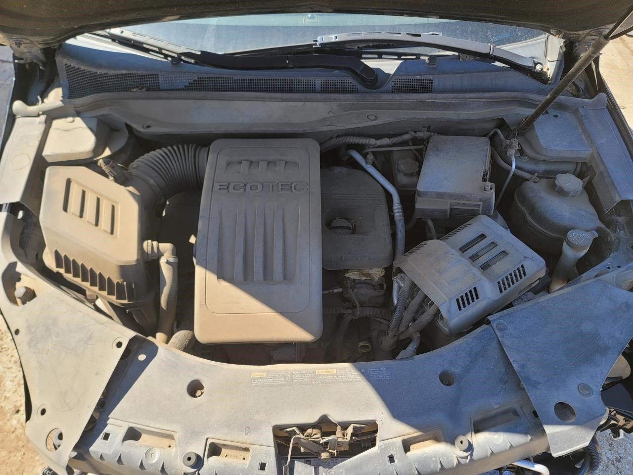 Picture 4