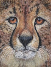 Original Pastel Painting