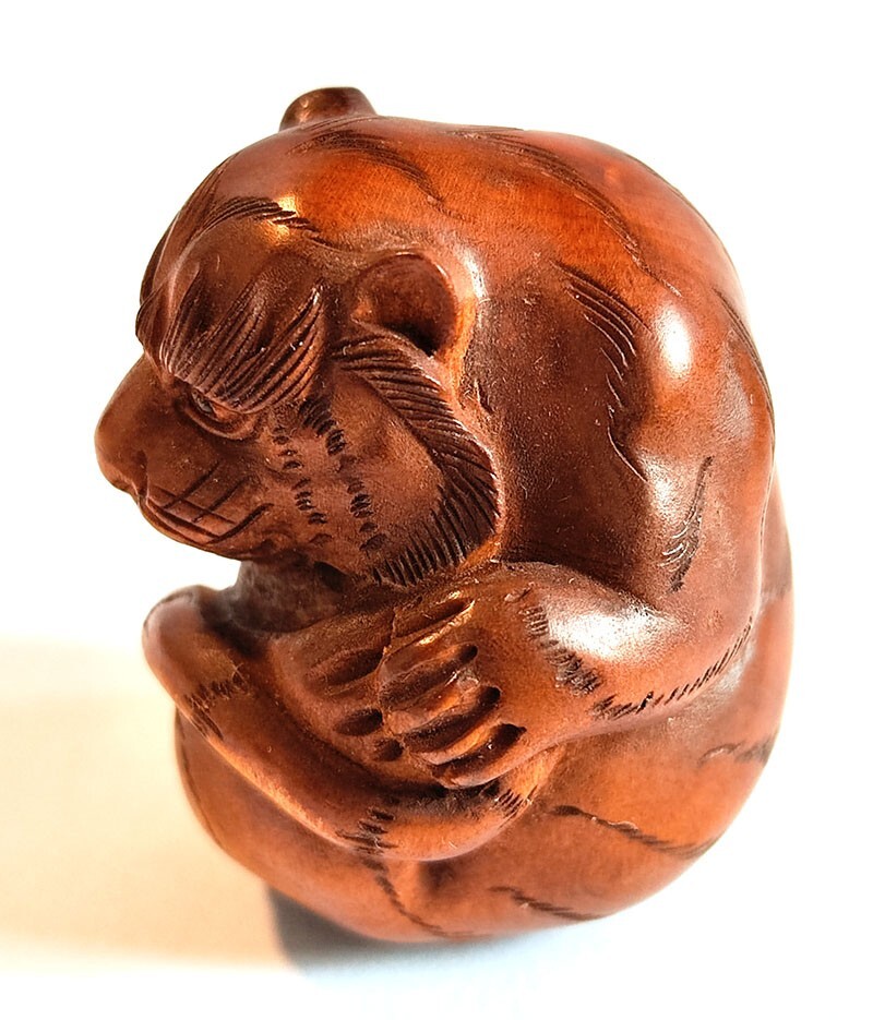 Y8287 - 1.6 Y8287 - 1.6