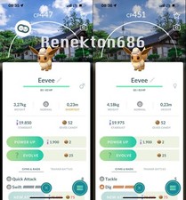 Eevee wearing an explorer hat costume Male Female Seoul background - Trade