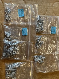 15mm renaissance Essex Scots