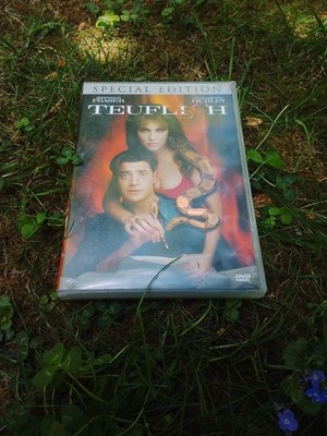 Teuflisch | Elizabeth Hurley | Komödie | DVD