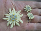 Vintage Costume Jewelry Pair of Clip-On Earrings with a pin brooch carved