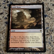 Arid Mesa Zendikar Regular NM MTG TCG CARD ESTATE Collection