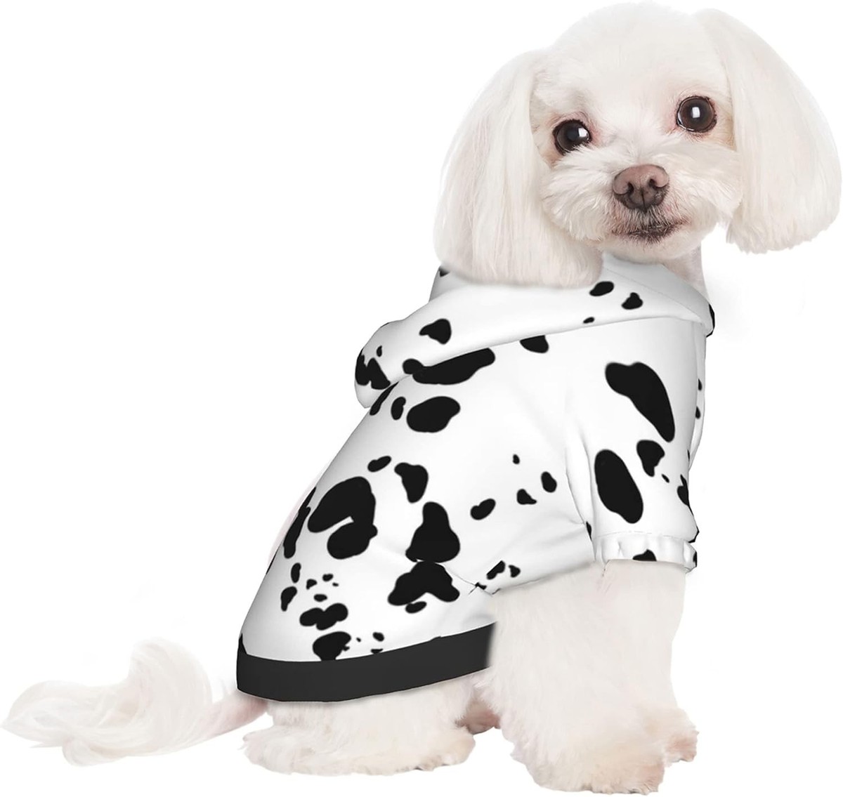 Dalmatian Print Dogs Hoodie Puppy Pullover XX-Large (12.1-16.3 bls