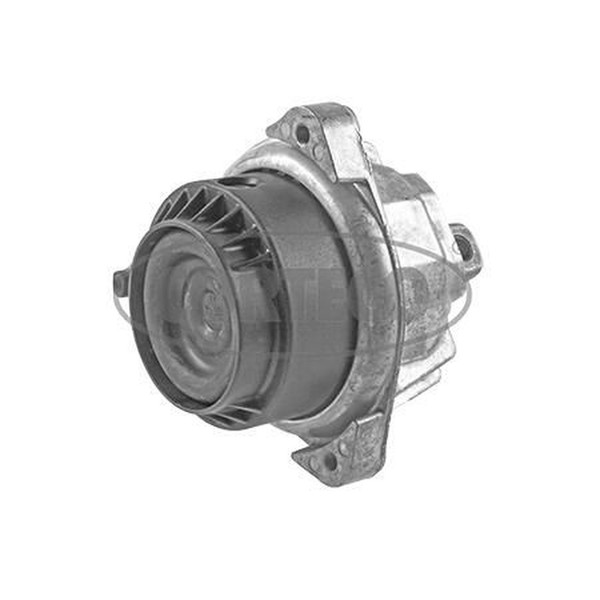 Corteco 49357939 Lagerung, Motor-image