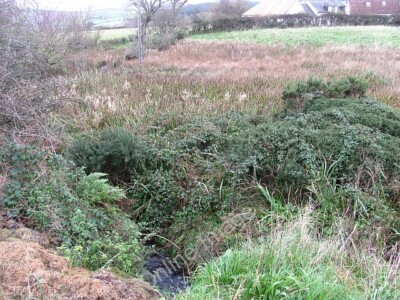 Photo 6x4 Allt nam Pairc Beaga Tormore/NR8932 Burn flowing through dense c2011