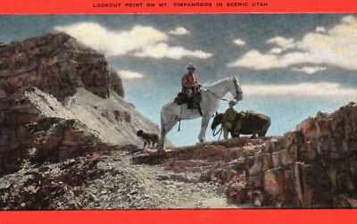 View of Lookout Point Mt. Timpanogos In Scenic Utah UT Vintage Postcard