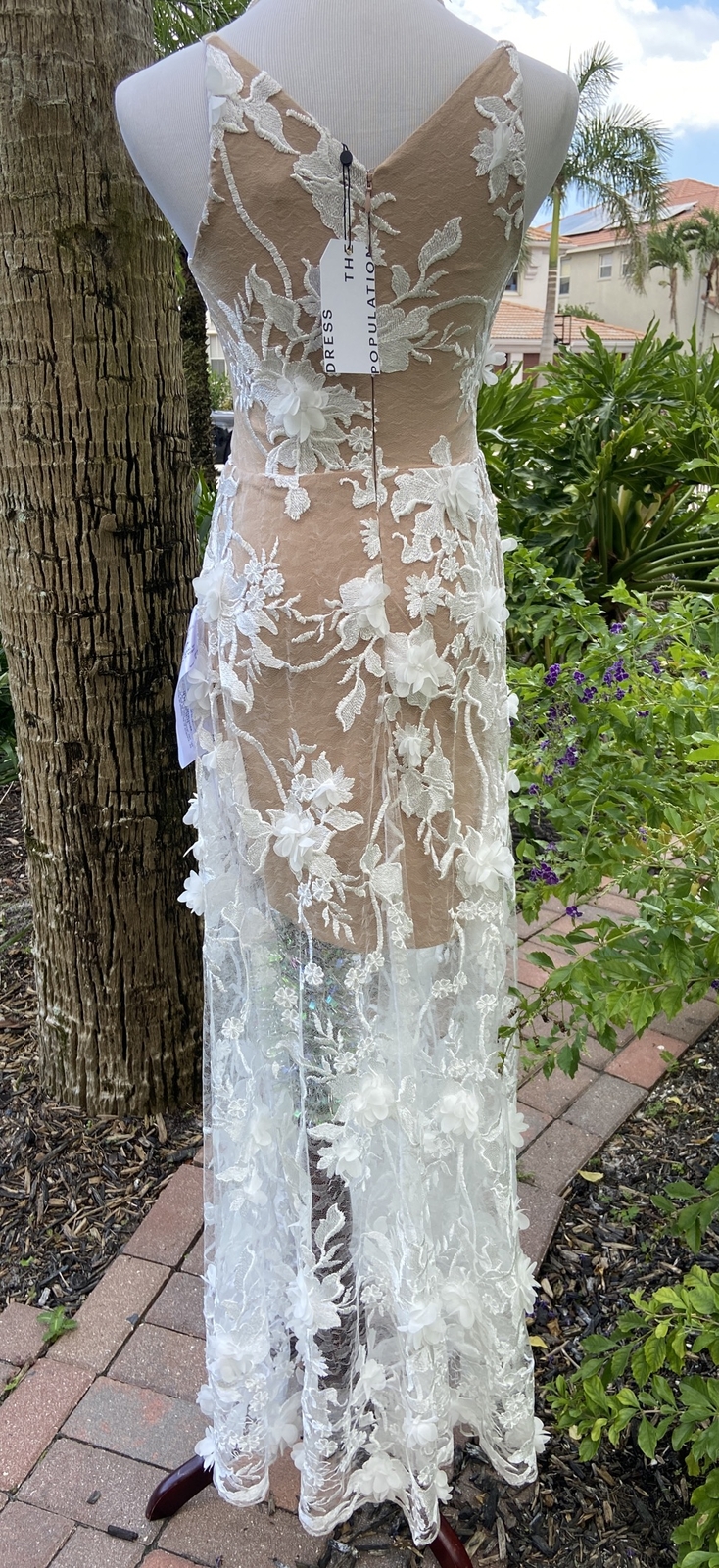 Picture 4 of 19