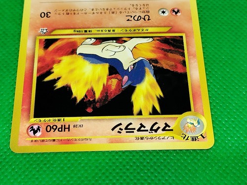 1996 Quilava #156 Pokémon Japanese 1st Edition No Rarity Basic Card - Picture 4 of 6