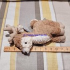 Picture 6 of 6