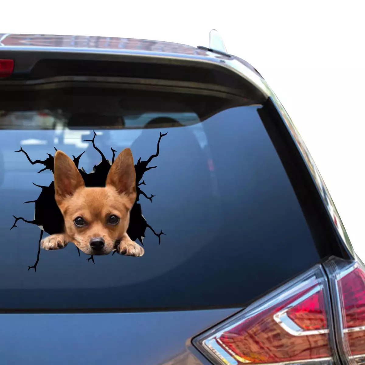 Chihuahua Auto Sticker Chihuahua Decals Car Windows 3d Packs Sticers For Face