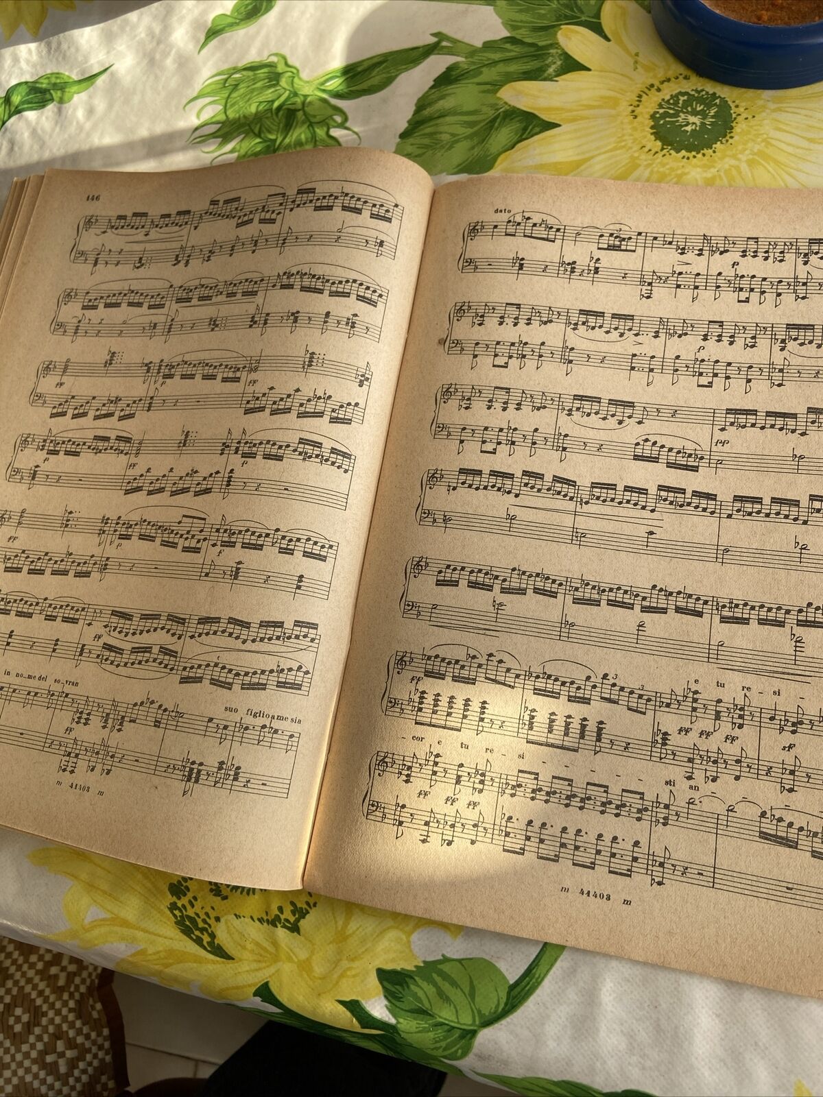 Foto 16 di 20