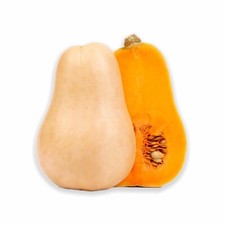 15 graines butternut bio