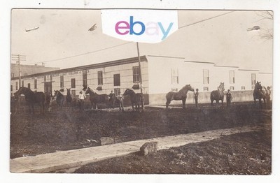 1910 RPPC KEOTA IOWA SINGMASTER STALLIONS DRAFT HORSE MARES VINTAGE POSTCARD IA
