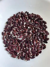 20+ 1500 Year Old Cave Bean Seeds Heirloom