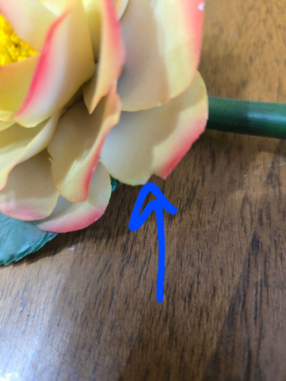Photo 6/6