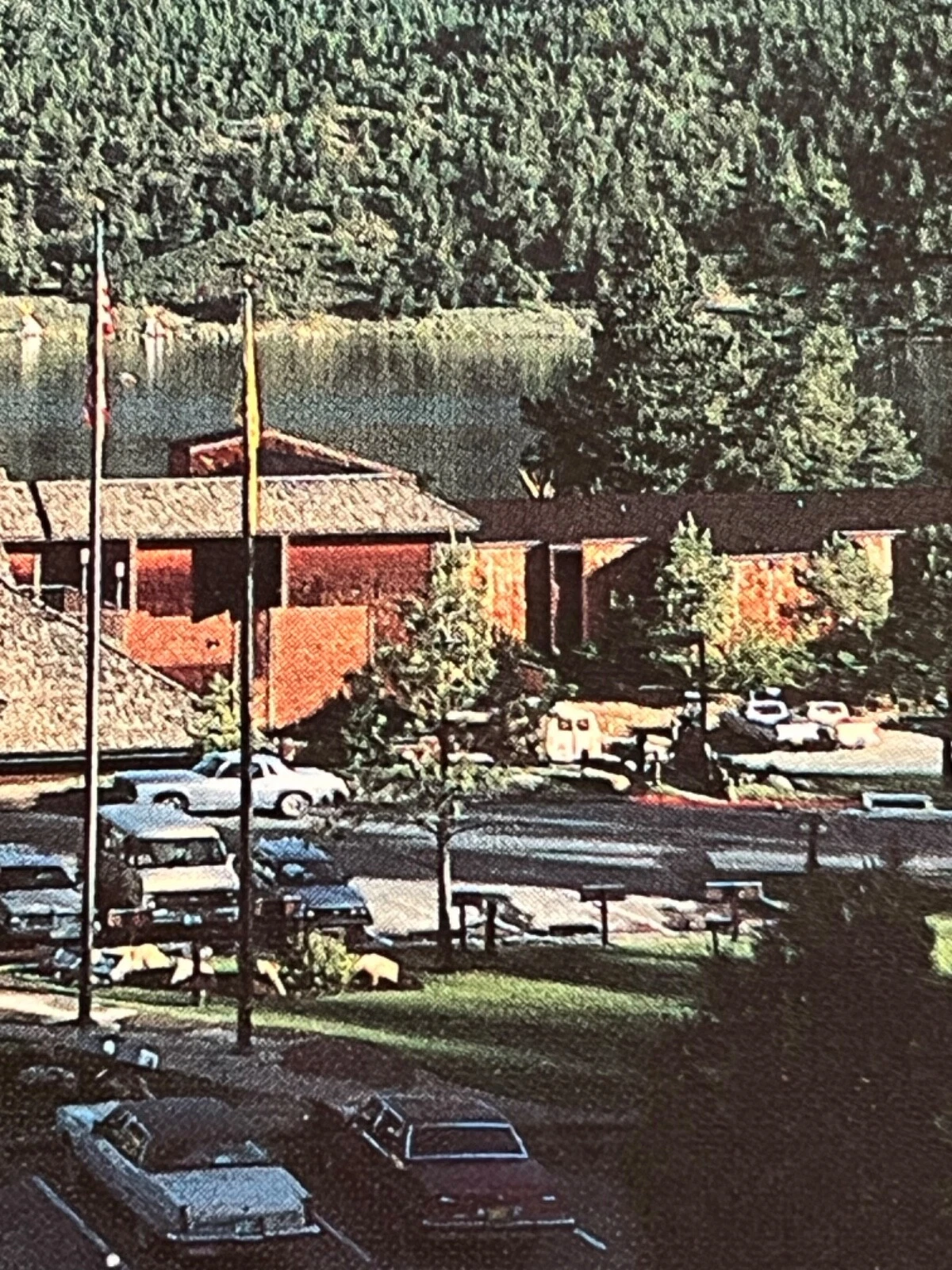 Picture 6 of 8