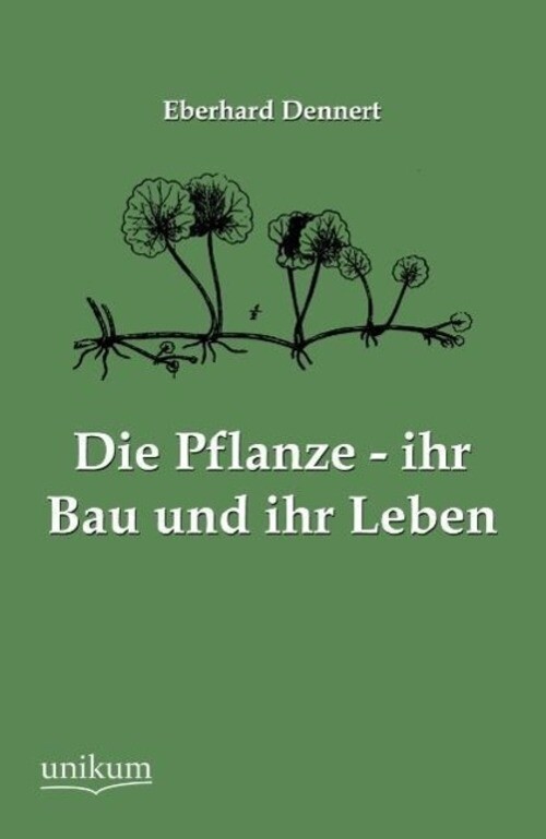Eberhard Dennert | Die Pflanze - Ihr Bau Und Ihr Leben | Taschenbuch |