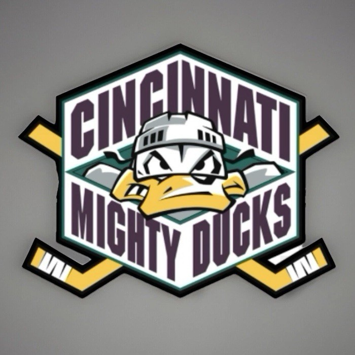 2001-02 Cincinnati Mighty Ducks Hockey Gold Star Chili Team Issued Trading Cards