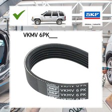 Keilrippenriemen Skf für Seat Alhambra 7V8, 7V9 1.9 TDI
